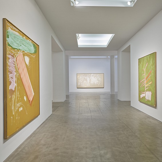 Current Exhibition: Dan Christensen: Calligraphic Stains & Scrapes (Paintings from 1977 to 1984) Feb  8 - Mar  9, 2024